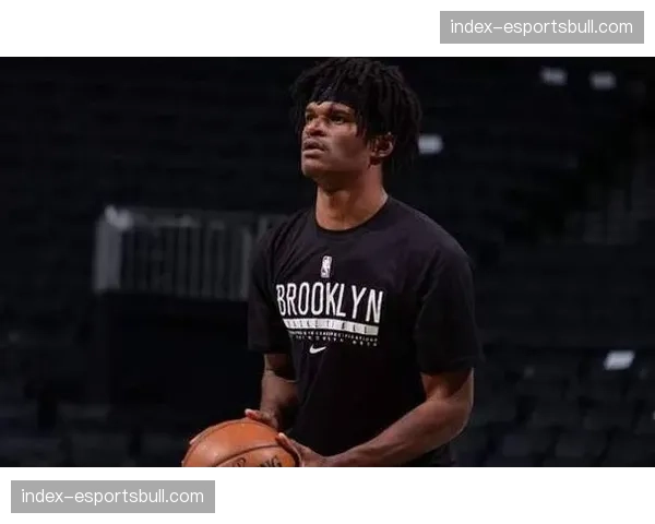 深圳队引进锋线球员阿利兹约翰逊 替换马林马里奇优化侧翼配置